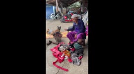 French bulldog puppies keep warm next to fire during cold spell in Thailand