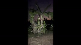 Rare stream of light in night sky baffles locals in rural Thailand