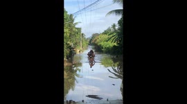 Pet dog carried to safety by locals paddling through flooded street