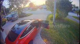 Hilarious CCTV moment as Floridian motorist accidentally takes potted companion for a ride