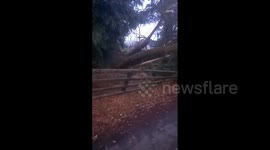 UK: Storm Isha Batters Country With Danger-To-Life Winds 3