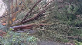 UK: Storm Isha Batters Country With Danger-To-Life Winds 2