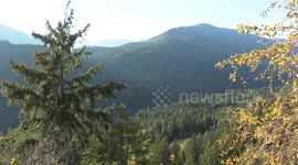 Archive footage: The Arctic Divide in Northern British Columbia, Canada