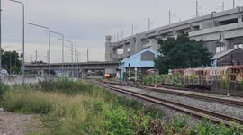 Plucky pet dog stuck on tracks outruns oncoming train