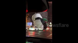 Enormous inflatable panda rolls through city streets in China after fierce winds