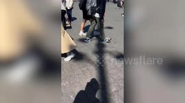 Animal Frenzy