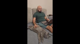 Man Uses Cat As a Mouse Pad