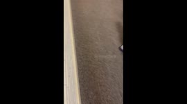 Toddler is Content in Air Jail