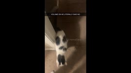 He Will Not Wait