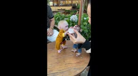 Sibling rivalry: Two tiny monkeys battle intensely over milk bottle