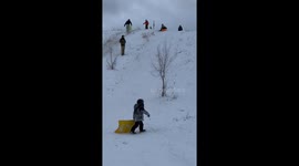 Dad Steers The Sled