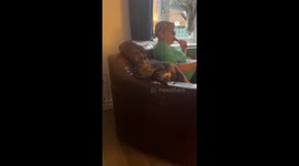French Bulldog Startled Awake