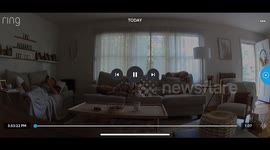 Goldendoodle Caught Slipping… Literally