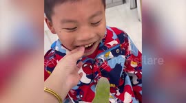 Parrot pulls out little boy's loose tooth with its beak