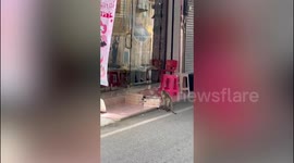 Curious monkey tears open parcel left on pavement
