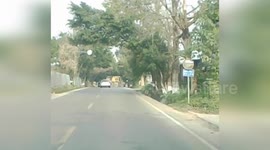 Driver admiring scenery crashes in trailer of parked truck