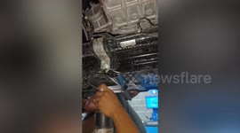 Mechanics rescue kitten stuck in engine of customer's car