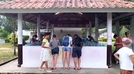 Tourists release endangered green sea turtle hatchlings into the sea in Thailand