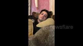 Playful raccoon charms in hilarious mouth-opening antics