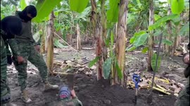 Ecuadorian Army uncovers weapons cache and seizes three tons of drugs hidden in banana plantation