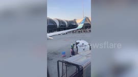 Airport worker caught on camera hurling suitcases onto ground