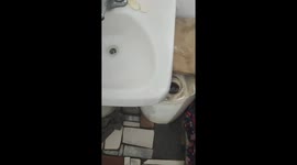 Microphone prank startles mom and dogs in hilarious video