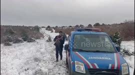Wounded Imperial Eagle Found in Orencik Village, Turkey
