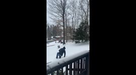Who Needs A Sled