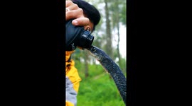 Thirsty rat snake stretches to drink water from man's bottle in Indonesia