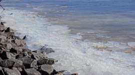 US: Cracked Ice Along Bay At Occoquan Bay National Wildlife Refuge In VA