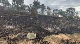 Hazard reduction burns increase severity of Australian bushfires: study