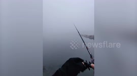Angler catches protected heron species while fishing in lake
