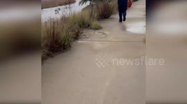 San Diego police rescues resident caught in flash floods