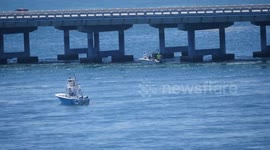 Great Hammerhead Snatches Tarpon at Bahia Honda Boat in Florida, USA