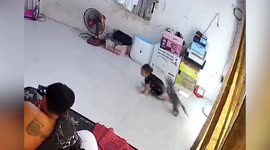 Mischievous pet cat jumps on toddler's head while playing