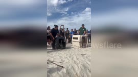 Police Released 6 Pelicans During Beach Cleanup Event in Hollywood, USA