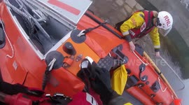 Irish Coast Guard rescue dog stranded that plunged into sea