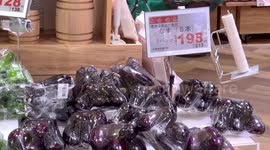 CPI Hits 41-Year High, Surges 3.1% in 2023 on Rising Prices in Tokyo, Japan