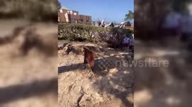 Mass Grave Dug At Gaza's Al-Aqsa University, Palestine