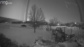 Security Camera Catches T-Rexes Playing in the Snow
