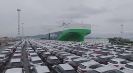 China's Xiamen Port sees export of over 1,700 NEVs to Europe