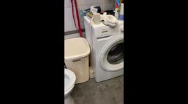Washing Machine Neatly Stacks Toilet Paper