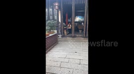 Dog attracting travelers to visit souvenir stores wins hearts of people in Huzhou, China