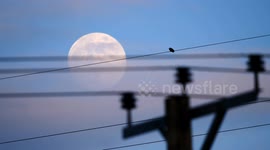 Spectacular Full Wolf Moon & sunset at Carsington wind farm harboro rocks Brassington Derbyshire UK