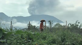 Vegetable prices increase in Indonesia following Mount Marapi eruption