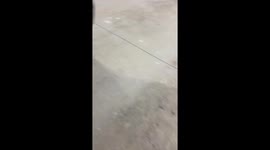 Crawfish Adventures at a Florida Gas Station