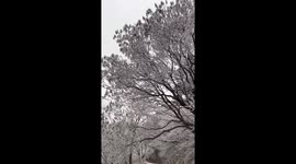 Beautiful frostwork blankets trees at Chinese Thousand Buddha Mountains