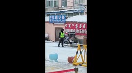 Cat joins traffic policeman patrolling road in China
