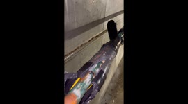 Insane length of solid ice coming out of a frozen pipe *Unbelievable Happening*