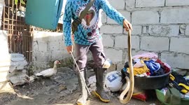 Grieving sister batters cobra to death after it killed her brother in bathroom